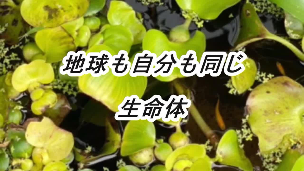 無条件の波動～常に動いている～.mp4