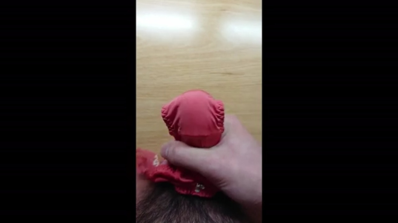 妹の下着でパンコキ 無修正 い〇うとのピンクパンティに大量中出し - FC2動画アダルト