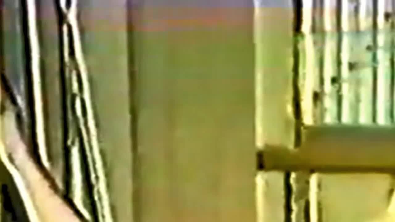 赤坂プチエンジェル事件 秋篠宮文仁親王 - FC2 Video